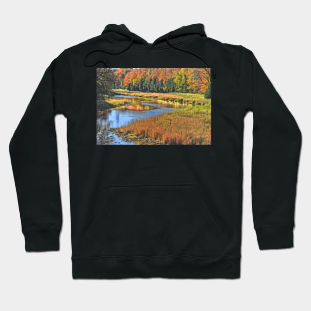 River in the Fall Hoodie by mariakeady